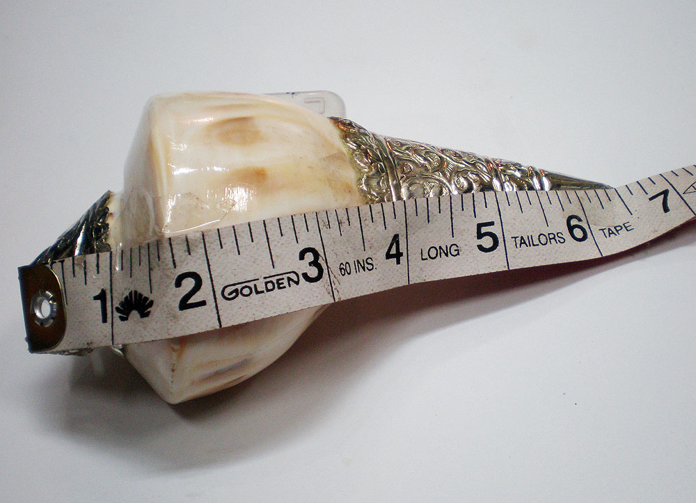 Lakshmi Bathing Conch Shell Measurement